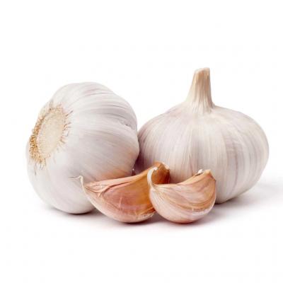 Garlic-bundle