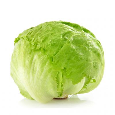 Iceberg Lettuce