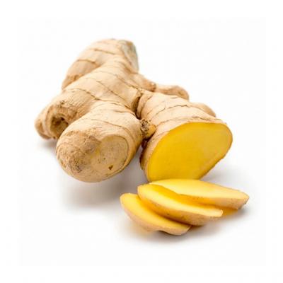 Ginger Root