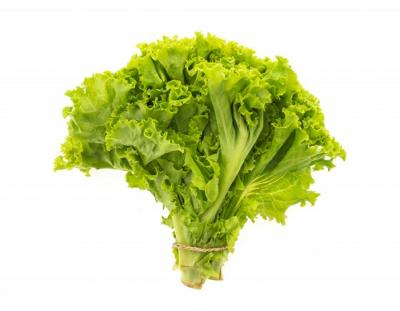 Lettuce