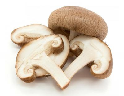 Flower Mushroom